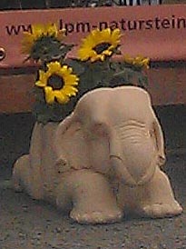 Elefant als Blumentopf Verwendungsbeispiel