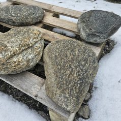 Flussstein Trittstein