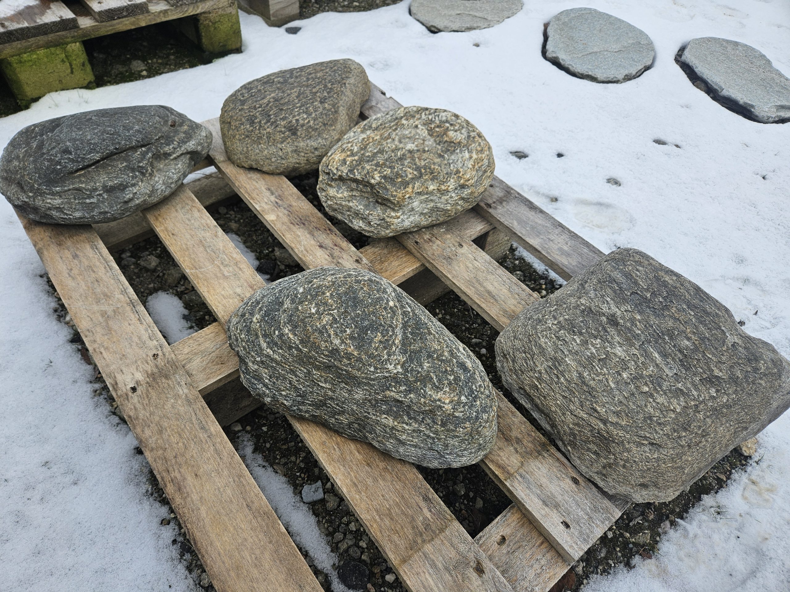 flusssteine-trittplatten Flussstein Trittstein