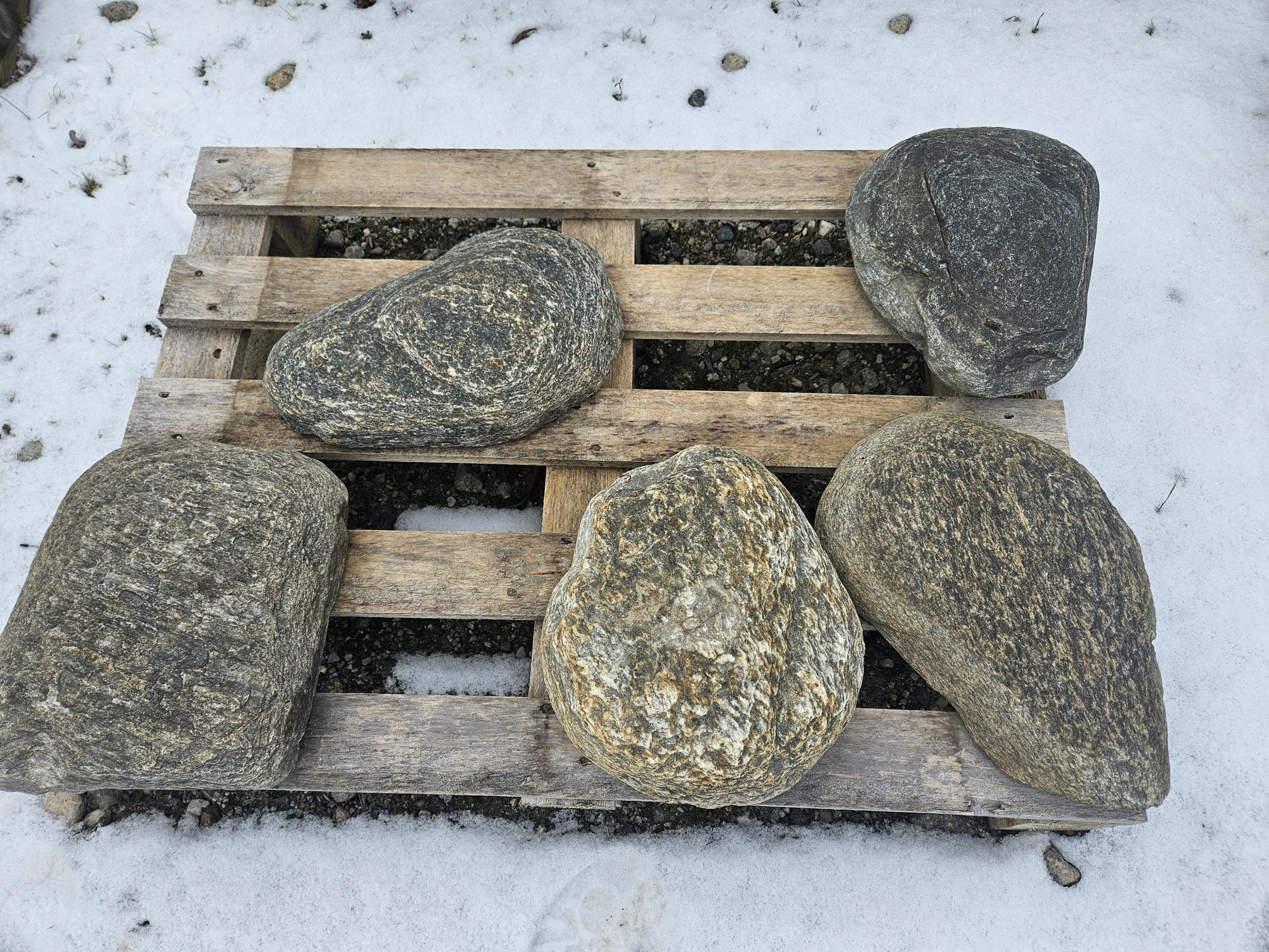 flusssteine-trittsteine Flussstein Trittstein