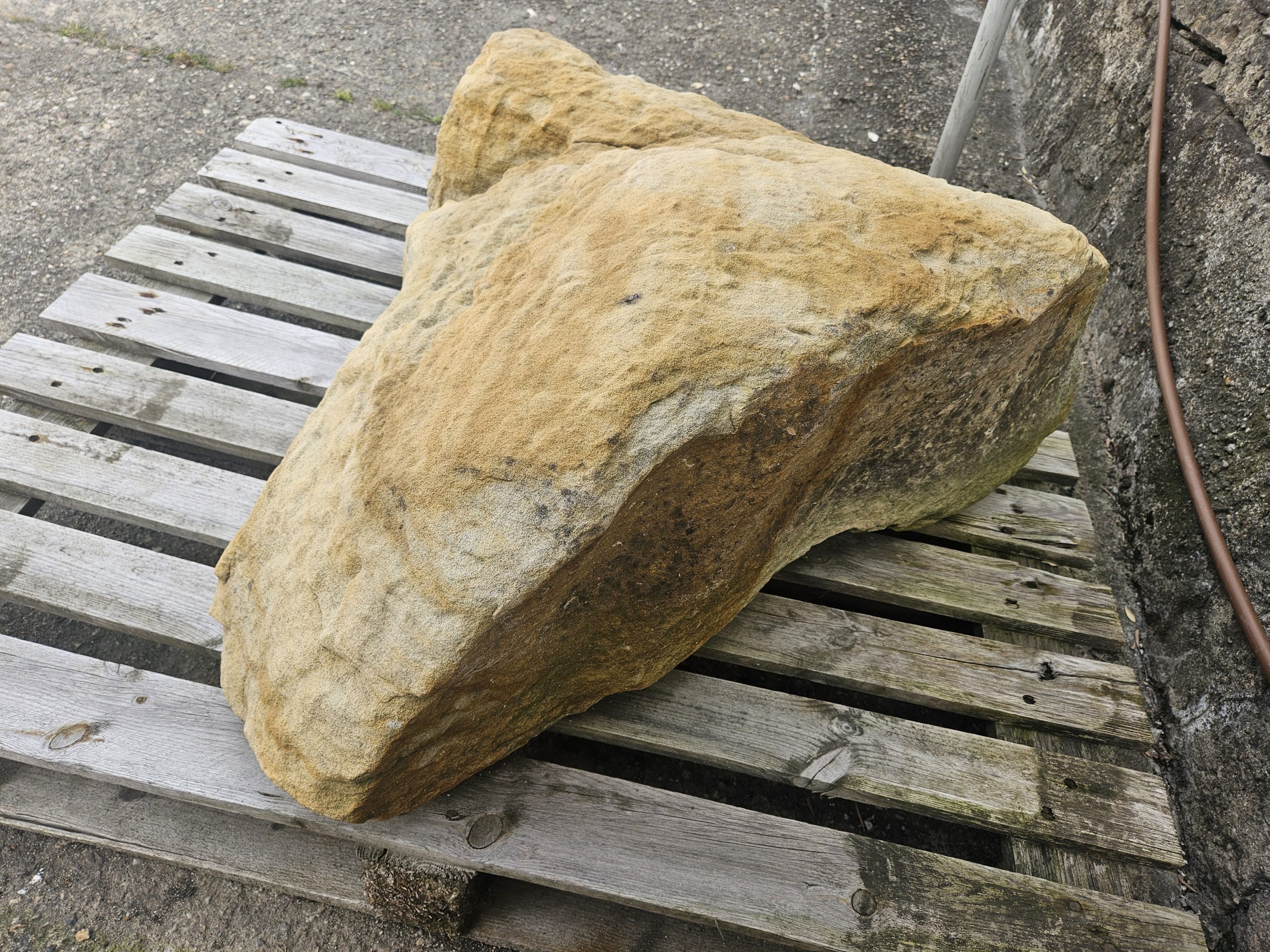 sandstein-felsen-findling Sandstein Felsen Findling